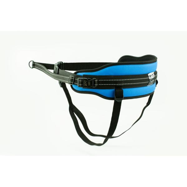 Bold Flash Canicross Laufgürtel Blau